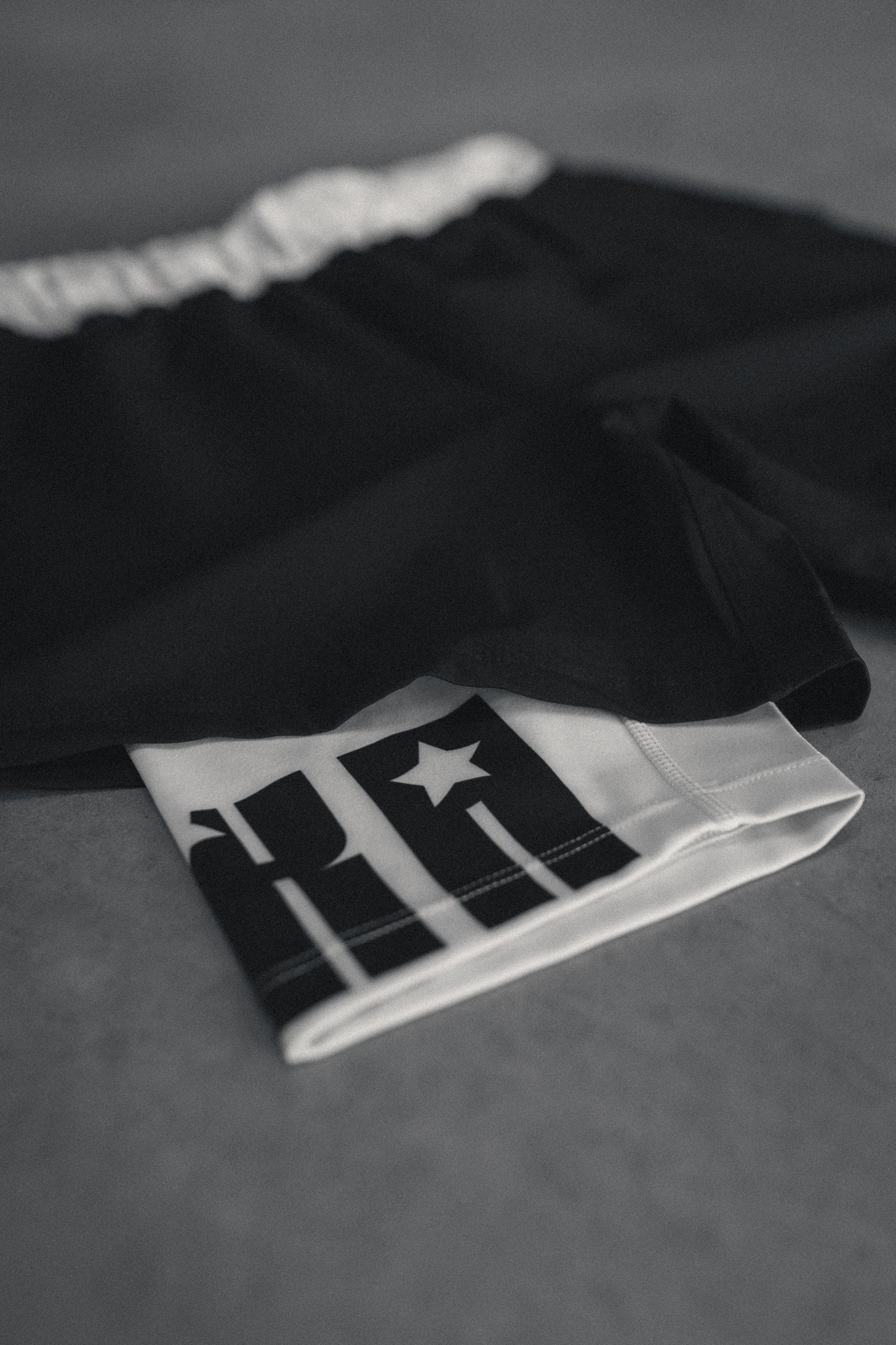 Rise Above 2-IN-1 MMA Shorts